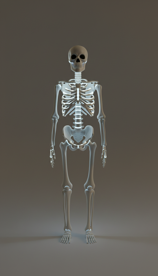 Life-Size LED Glow Skeleton