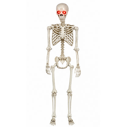 1PC 5.5FT Halloween Skeleton Decoration Props with Red Glowing Eyes and Sound Sensing and Chin Moving Functions.（副本）