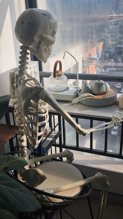 9 Pcs 5.5FT Animated Skeleton Set with Glowing Red Eyes and Sound Activation and Moving Jaw