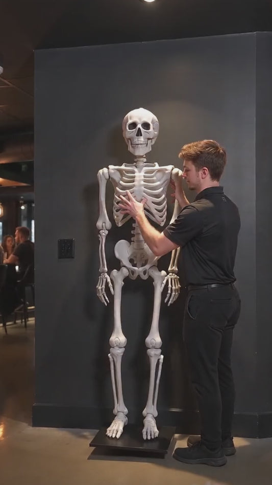 5.5FT White Animated Skeleton – 1PC Full-Size Halloween Decoration | 1-Pack
